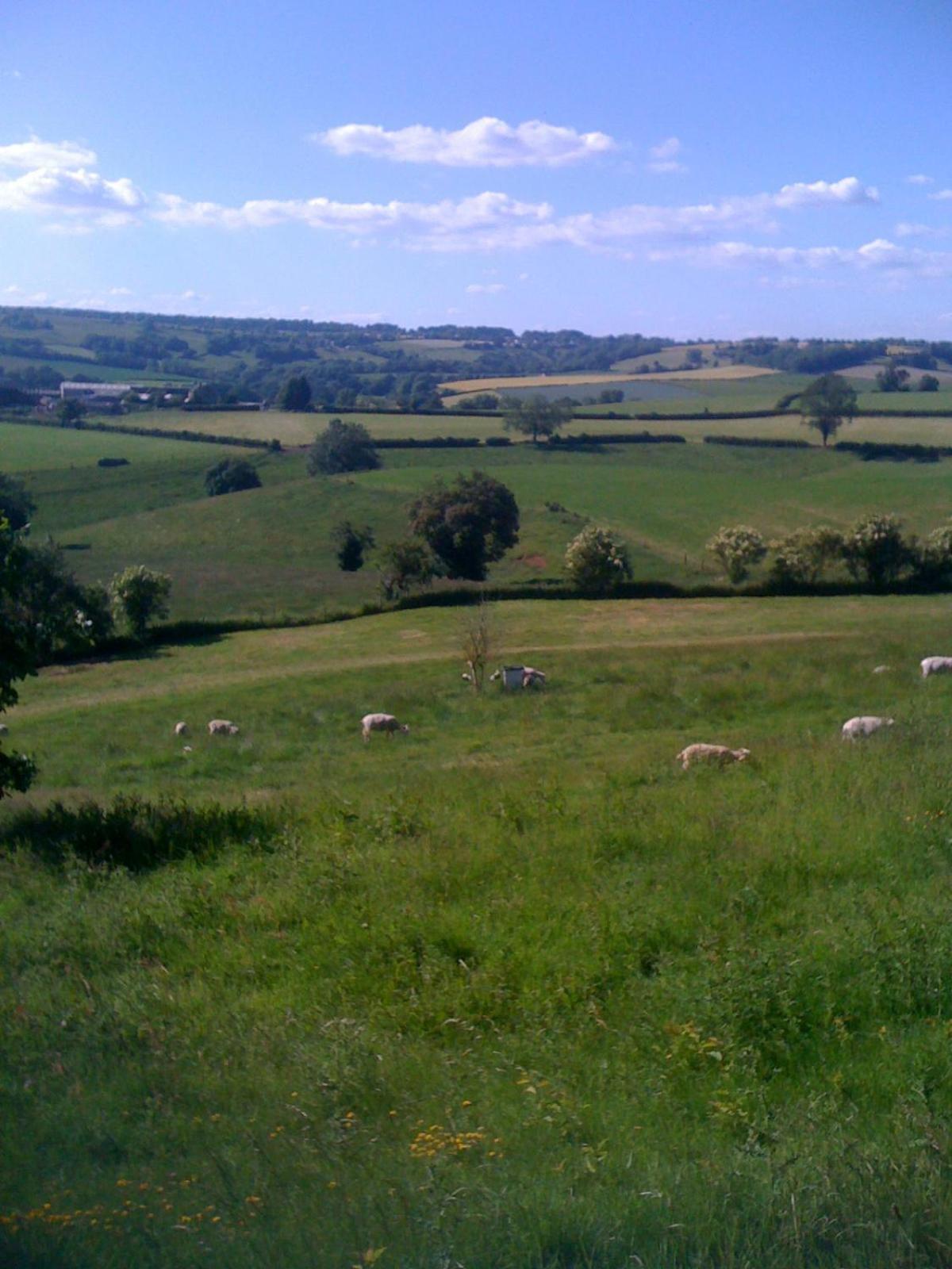 T'S At Lower Rudloe Farm Guest House Corsham Exterior photo
