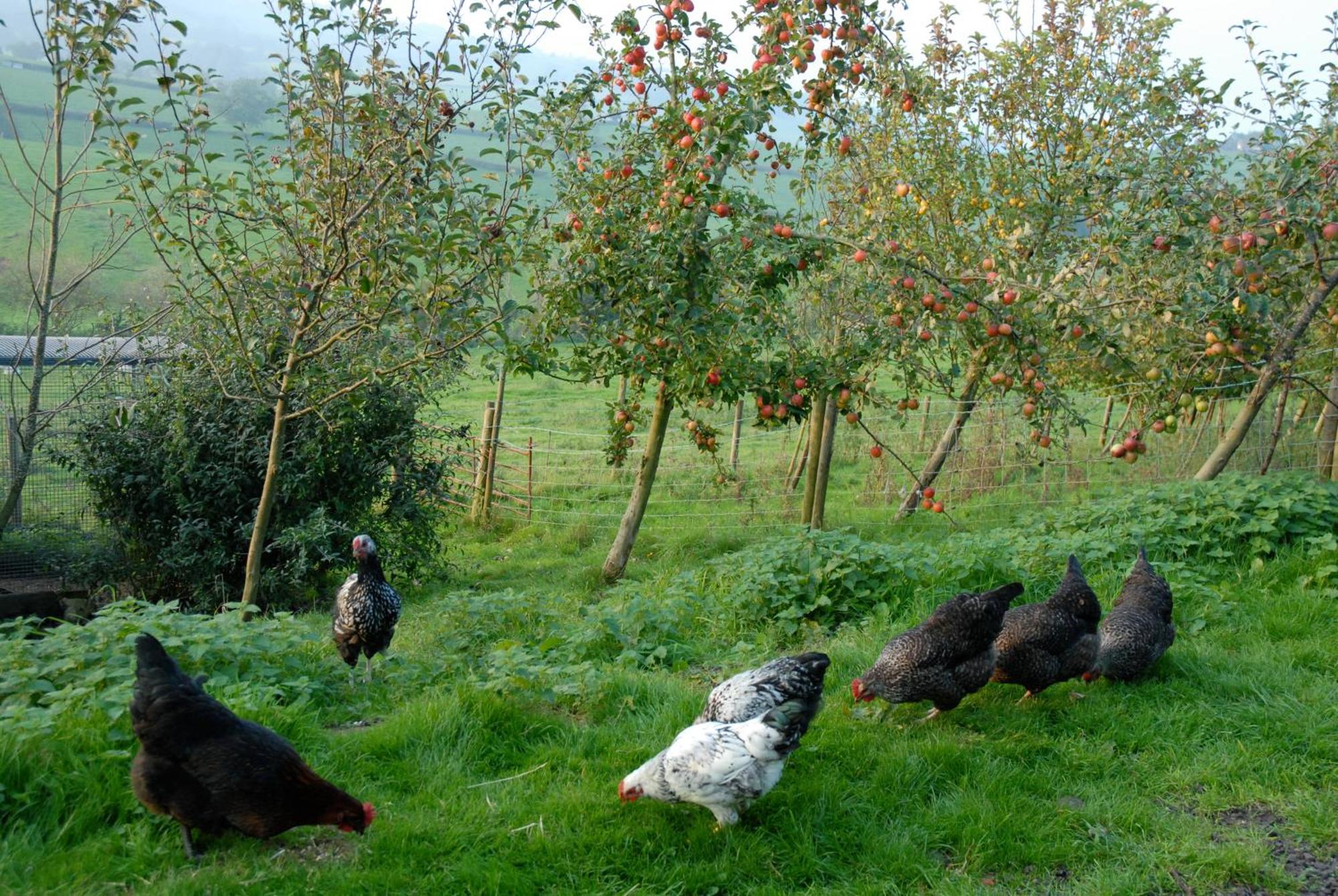 T'S At Lower Rudloe Farm Guest House Corsham Exterior photo